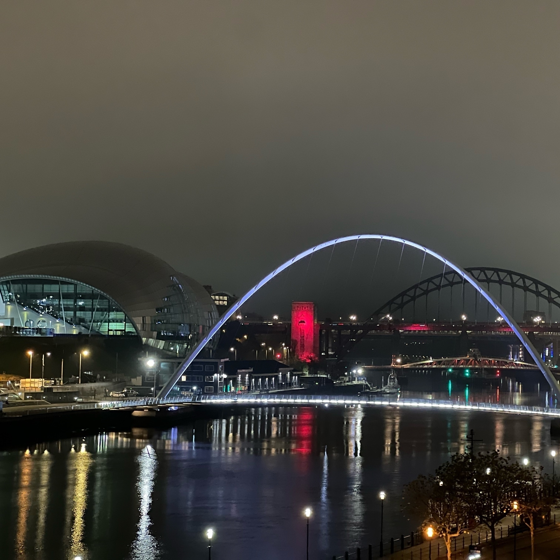 Bridges in Newcastle